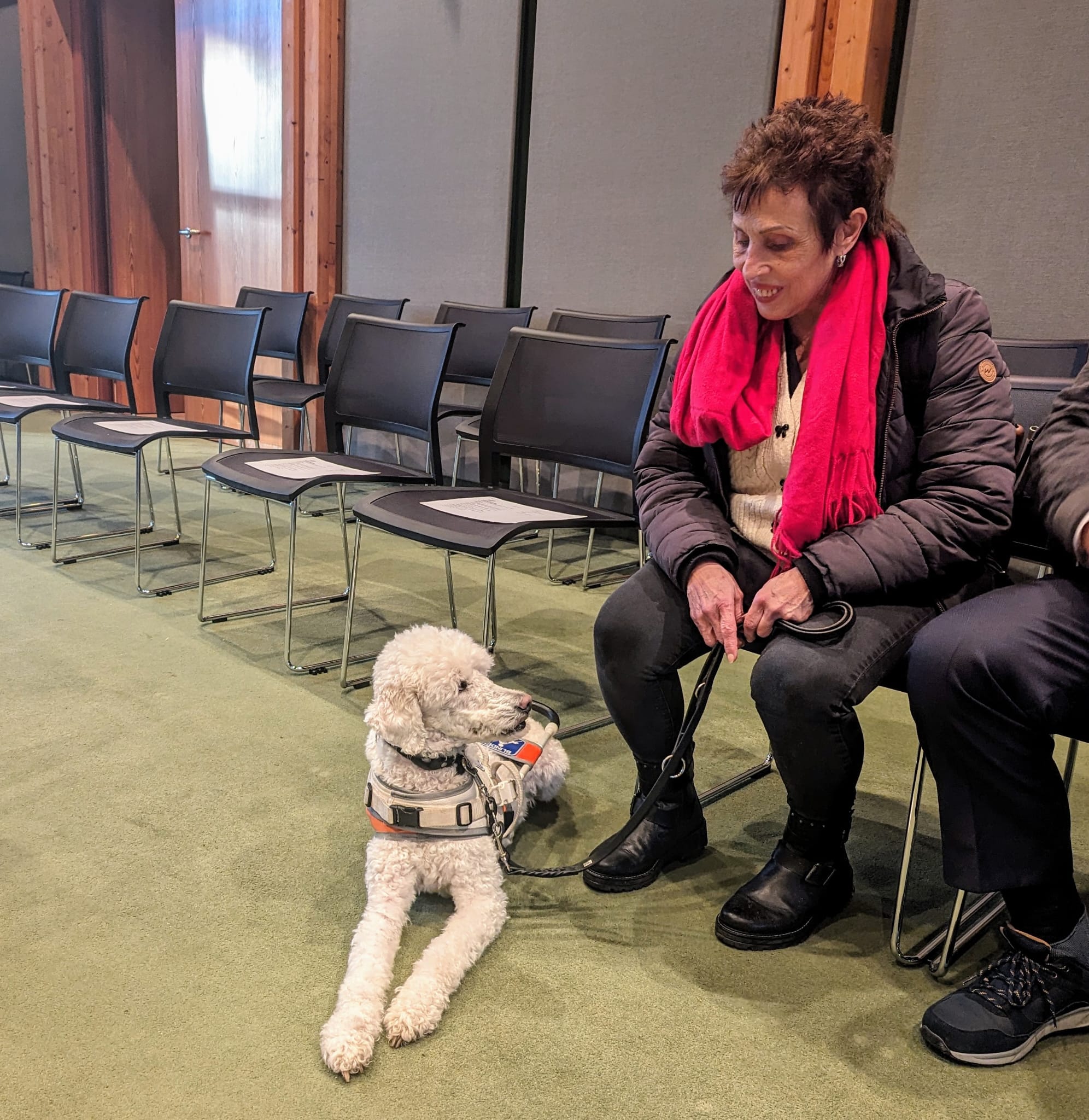BVP informiert: Chance vertan – Bürgerantrag auf assistenzhundfreundliche Kommune wurde abgelehnt 